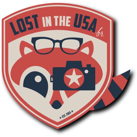 Logo Lost in the USA