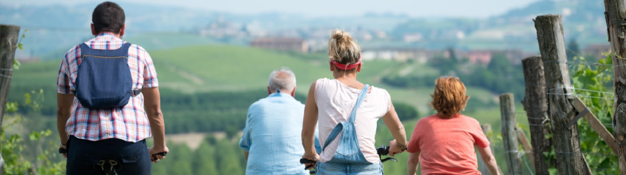 Un groupe de personnes faisant du vélo au milieu de vignes. 