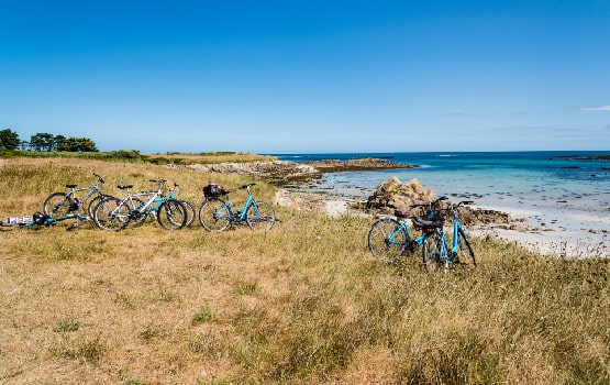 Des vélos posés devant la mer. 