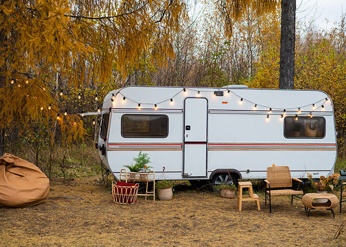 Un van dans la forêt